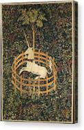 The Captured Unicorn Canvas Print