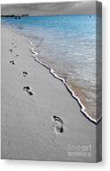 Cayman Footprints Color Splash Black and White Digital Art by Shawn O ...
