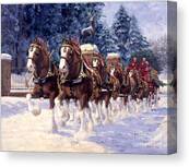 Clydesdale Hitch Grants Farm Winter Canvas Print