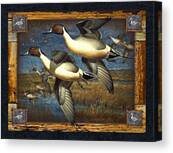 Ducks in Flight Over Wetlands Canvas Print