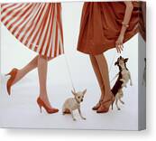 Two Models With Dogs Canvas Print
