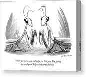 Two Praying Mantises Facing Each Other Canvas Print