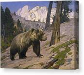 Bear in Mountain Landscape Canvas Print