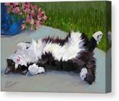 Cat On A Hot Day Canvas Print