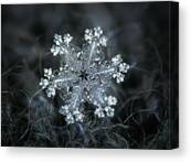 Real Snowflake - 26-dec-2018 - 1 Canvas Print