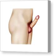 Jinsiy aloqa uchun qizga buyurtma bering Nina Xartlining porno suratlari ovlangan