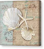 Linen Shells I Canvas Print