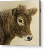 Gentle Swiss Calf Painting by Margaret Stockdale - Fine Art America