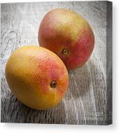 It Takes Two To Mango Canvas Print