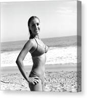 Sharon Tate In Don't Make Waves -1967-, Directed By Alexander Mackendrick. Canvas Print