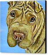 Beautiful Shar-pei Dog Portrait Canvas Print by Michelle Wrighton