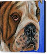 Beautiful Bulldog Oil Painting Canvas Print by Michelle Wrighton