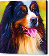 Colorful Bernese Mountain Dog Painting Canvas Print by Michelle Wrighton