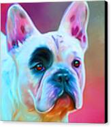 Vibrant French Bull Dog Portrait Canvas Print by Michelle Wrighton