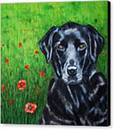 Poppy - Labrador Dog In Poppy Flower Field Canvas Print by Michelle Wrighton