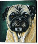 This Is My Happy Face - Pug Dog Painting Canvas Print by Michelle Wrighton