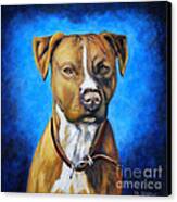 American Staffordshire Terrier Dog Painting Canvas Print by Michelle Wrighton