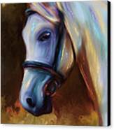 Horse Of Colour Canvas Print by Michelle Wrighton