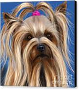 Muffin - Silky Terrier Dog Canvas Print by Michelle Wrighton