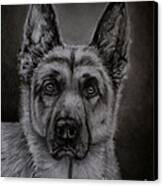 Noble - German Shepherd Dog Canvas Print by Michelle Wrighton