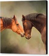 Best Friends - Two Horses Canvas Print by Michelle Wrighton