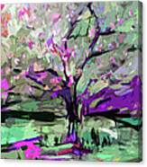 Abstract Art Tree In Bloom By Ginette Canvas Print