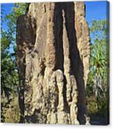Cathedral Termite Mound Australia Canvas Print