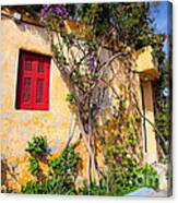 Decorated House With Plants Canvas Print