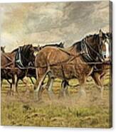 In For The Long Haul Canvas Print