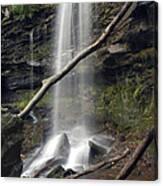 Jocaby Falls Behind The Fallen Trees Canvas Print