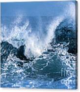 Ocean Wave Canvas Print