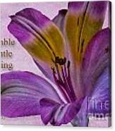 Peruvian Lily With Scripture Canvas Print