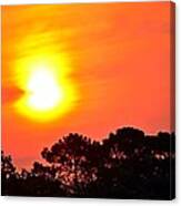 0601 Sunrise Over Silhouette Trees Canvas Print