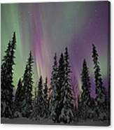 Aurora Borealis #1 Canvas Print