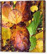 Autumn Leaves 2 #1 Canvas Print