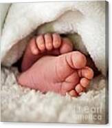 Baby Toes #1 Canvas Print