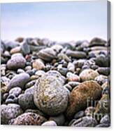 Beach Pebbles 3 Canvas Print