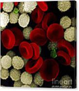 Blood Cells #1 Canvas Print