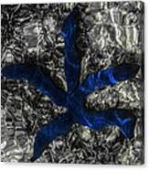 Blue Starfish Canvas Print