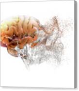 Brain Disease Canvas Print