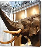 Bull Elephant In Natural History Rotunda Canvas Print