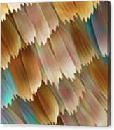 Butterfly Wing Scales #1 Canvas Print