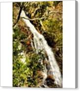 Chattahoochee National Forest #1 Canvas Print