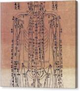 Chinese Acupuncture Chart, 1906 #2 Canvas Print