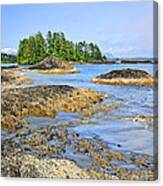 Coast Of Pacific Ocean On Vancouver Island 6 Canvas Print