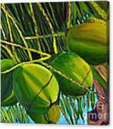 Coconuts At Sunset Canvas Print