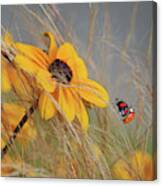 Colors Of Summer #1 Canvas Print