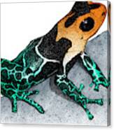 Crowned Poison Frog #1 Canvas Print