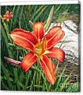 Day Lily #2 Canvas Print