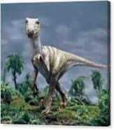 Deinonychus Dinosaur Model #1 Canvas Print